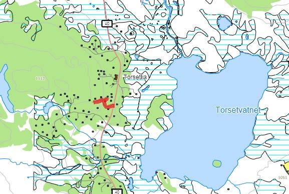 166. Torsethalle Første stikkveg sør for Torsetlia Navneforslag: