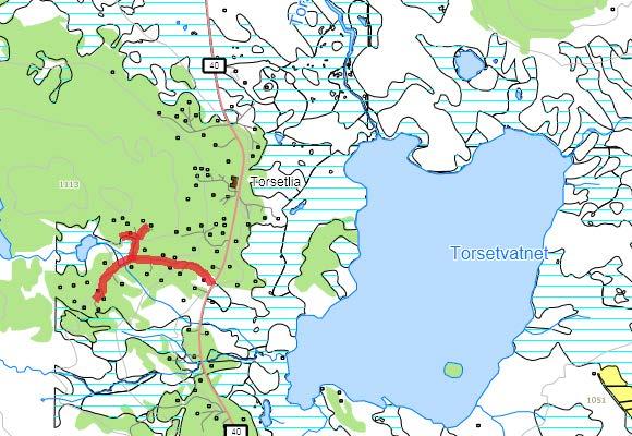 167. Torsetåsen Andre stikkveg sør for Torsetlia Navneforslag: