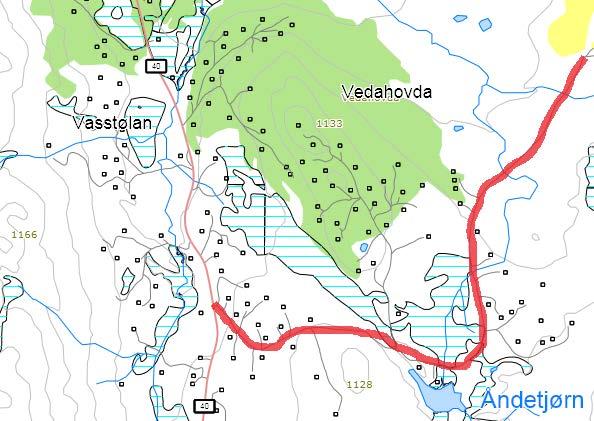 174. Åndetjønnvegen Hovedveg fra FV40 forbi Åndetjønn Navneforslag: