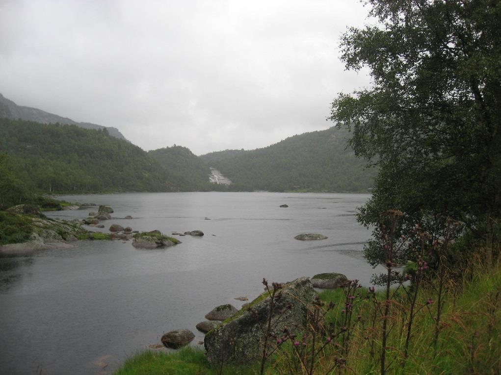 produksjonen ble lagt høsten 29 da det ble det lagt inn befruktet rogn av stamfisk fra Sandvatn. Høsten 213 var den klar som stamfiskbeholdning (Nils Børge Kile, pers. medd.).