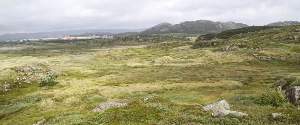 Ved restaurering av landskap i verneområdet er det ikke nødvendigvis et mål å tilbakeføre arealet til slik det var ved et tidligere tidspunkt.