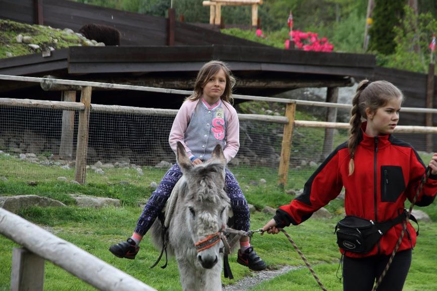 Dagen begynte grått og med mye regn på veien til Barnas Dyrepark.