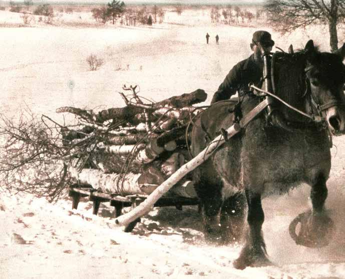 hest og kjerre/slede.