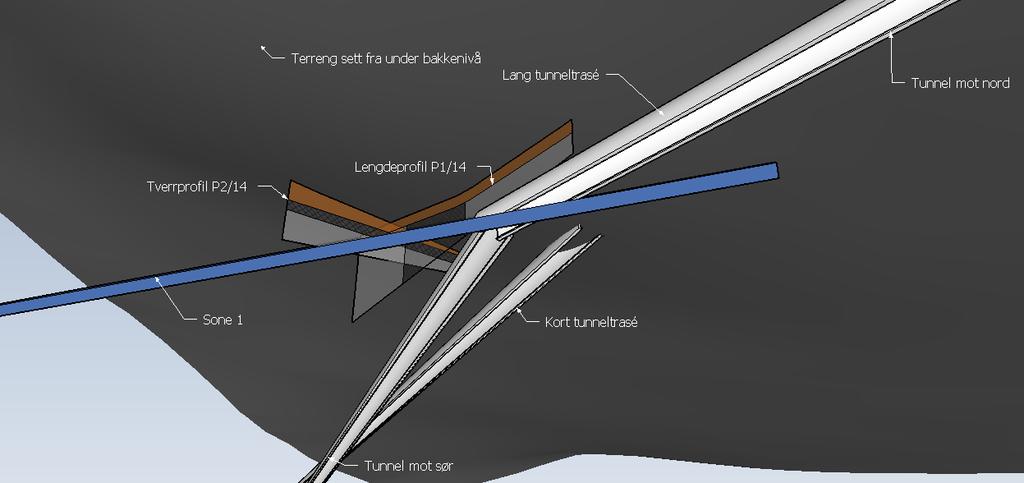 For å underbygge strøk- og fallmålingene av foliasjonsplanet og vår tolkning av blotningene, har vi vurdert seismikk gjort langs to ulike profil i området vi har observert den svake sonen.