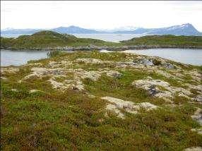 Lynghei dominert av røsslyng, krekling og gråmose. Foto: Mons Kvamme. Kart over Bliksvær. Kilde: Naturbasen. Beskrivelse Bliksvær er en øygruppe på ca. 60 øyer som ligger 15 km vest av Bodø.