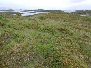 Helgelandsøyene, Vega og Alstahaug kommuner, Nordland Litt.: Elven et. al. 1988, Hatten et.