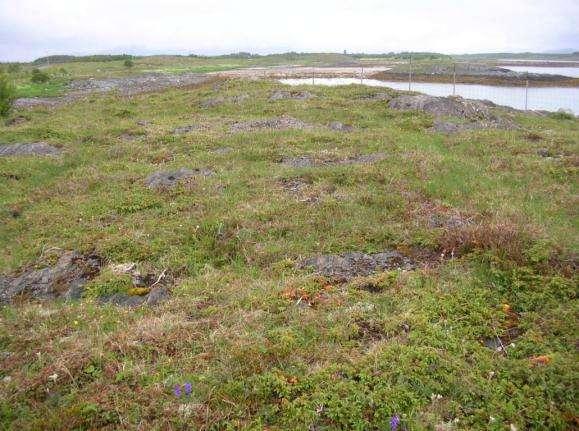 utgjøres av tørrhei, som omfatter de fattige utformingene av røsslyngdominert hei, rikhei, som omfatter gras- urterike heier og fuktige kystlyngheier, som omfatter en rekke vegetasjonsutforminger der