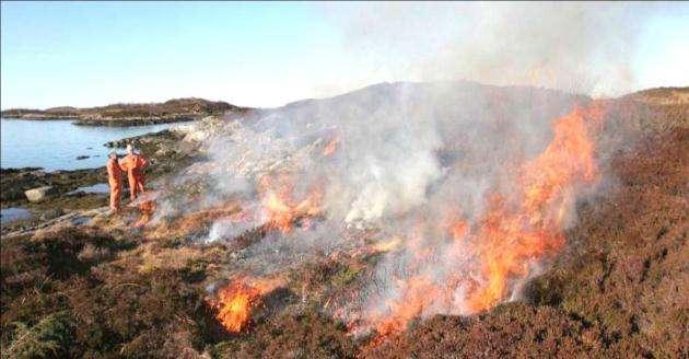 Lyngsviing på Smågeholmene. Foto: Ingolf Mork. Kart over Smågeheiene og Smågeholmene. Kilde: Naturbasen. Beskrivelse Området utgjør en landtunge på vestsiden av øya Gossa i Aukra kommune samt ca.