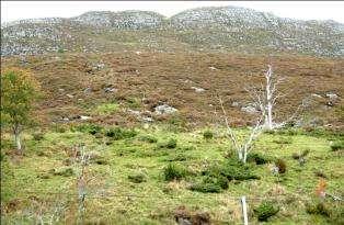 6000 daa lyngheier Foto og kart Heilandskapet langs vestkysten av Sandsøya. Foto: Mons Kvamme. Forholdsvis nybrent område på sørsiden av øya.