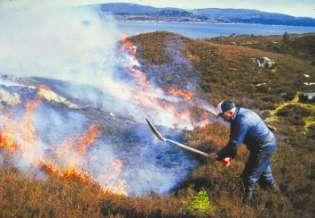 Mercouri International Prize for the Safeguarding and Management of Cultural Landscapes (UNESCO Greece) 2001,