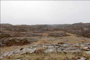 og Blikshavn i bakgrunnen. Foto: Peter Emil Kaland. Lyngheiområdet er avgrenset med en ca.