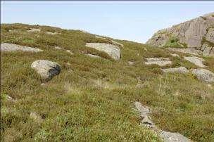 Lofjellet er avgrenset. Kilde: Naturbasen.