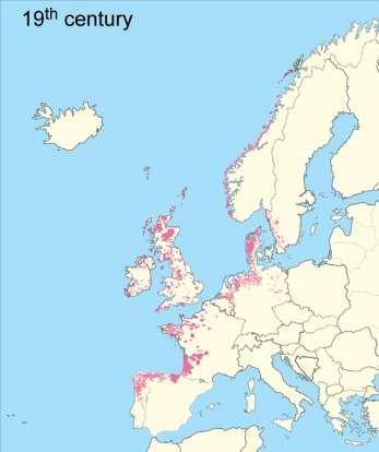 Ryddingen begynte for 5000 år siden, men først i vikingtiden var hele Vest-Europas kyst omdannet til et åpent landskap. Prosessen tok mer enn 3000 år.