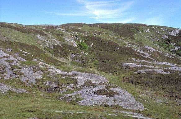 Vegetasjonsmosaikk med små arealer grashei (sommerbeite) og røsslynghei (vinterbeite)gir høyest biodiversitet. Foto: Peter Emil Kaland.