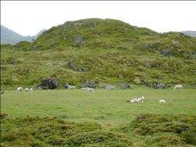 Holsøy/Holsmoa ved Leknes, Vestvågøy kommune, Nordland Litt.