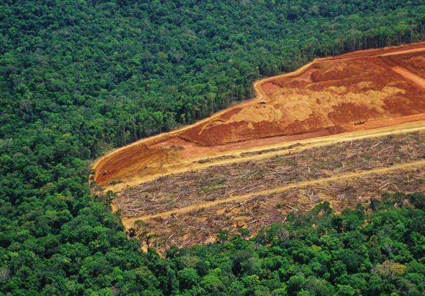 Råvaren i et skrivebord kan være tømmerstokker fra en skog. Skogene fornyer seg, og de binder karbondioksidgass fra atmosfæren når de vokser. De kan også rense lufta for forurensninger.