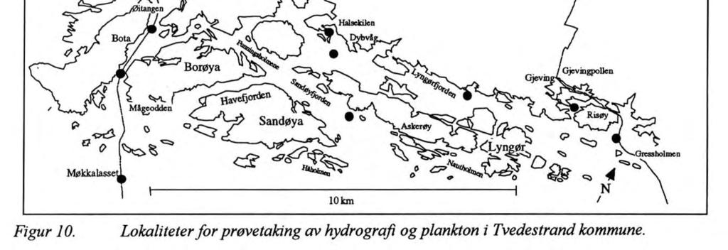 43 Flere poller i Tvedestrand har blitt undersøkt opp gjennom årene. I Gjevingkilen, Halsekilen, Kvastadkilen og Hagenkilen ble temperatur, saltholdighet og oksygen målt i mai 1985 (Bøhle 1986).