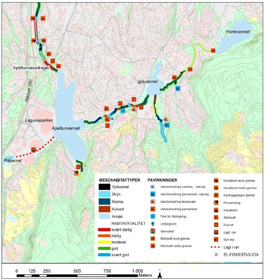 Figur 13: Utsnitt fra kart habitatskartlegging og påvirkning i Apeltunvassdraget. Kilde: LFI Uni Miljø rapport sjøurebekker i Bergen og omegn.