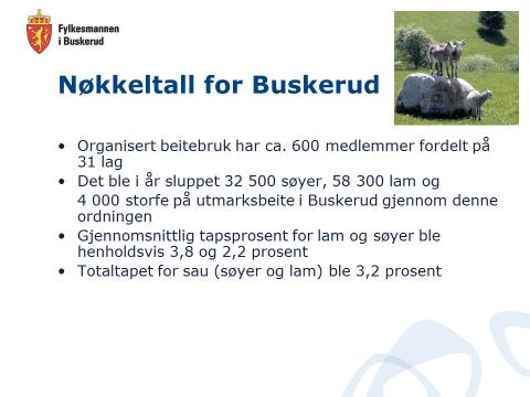 Tilskudd til forebyggende og konfliktdempende tiltak mot rovvilt Fylkesmannen i Buskerud brukte 970 000 kroner på forebyggende tiltak mot rovviltskader og konfliktdempende tiltak i 2016.