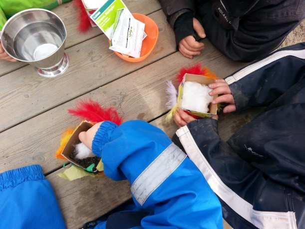 Hva skjer i mai og juni. Nå går vi inn i dette barnehageårets to siste måneder. Vi vil i tiden fremover fortsette med å undersøke det som skjer i naturen rundt oss.