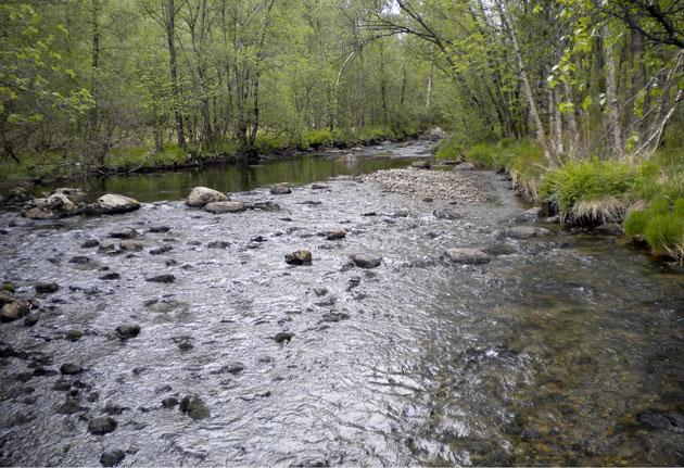 Bjerkreimselva, innløpselv til Røyslandsvatnet. Foto: A.