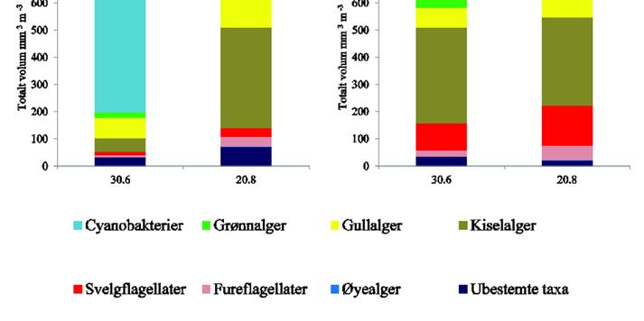 Den dominerende arten i den første prøven var cyanobakterien Dolichospermum flos-aquae. Kiselalger dominerte den andre prøven. Den dominerende kiselalgen var Asterionella formosa.