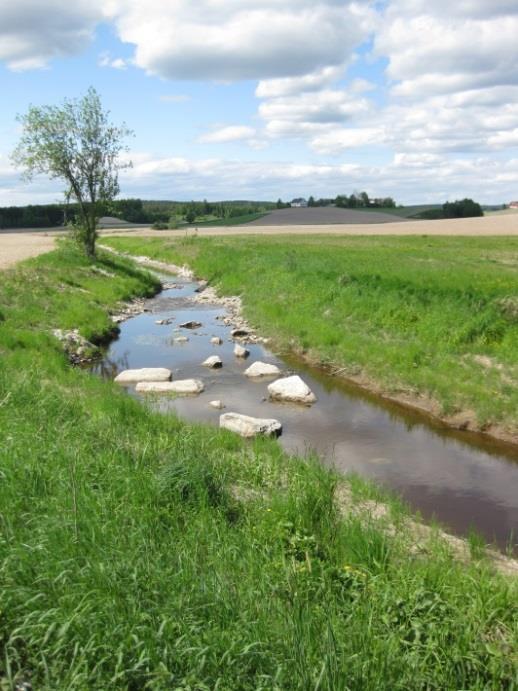 små, kalkfattig, humøse Areal