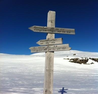 Grøhovdnuten og Langesænuten