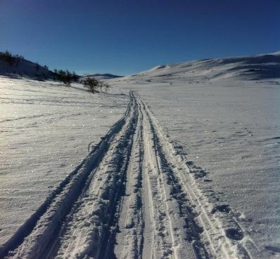 Grøhovdtjønn i mai 2012