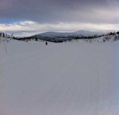 tilgjenge Parkering Fjellstad