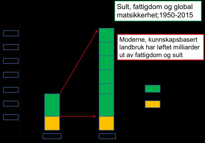 Økt matproduksjon har først og fremst skjedd gjennom endring i driftsform og effektivisering, og i mindre grad med grunnlag i økt arealgrunnlag.