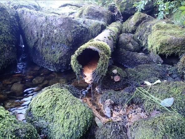 A) Sig fra fylling nede i Oselva B) Utslipp i Oselva C) Dyrka mark langs Søftelandselva D) Grøft til Søftelandselva Figur 4. A) Sig fra gammel fylling nederst i Oselva.