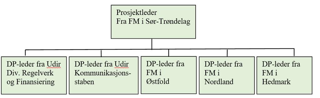 Finansiering og tilskuddsforvaltning i Udir samt to utdanningsdirektører fra fylkesmannsembetene, jf. figuren under.