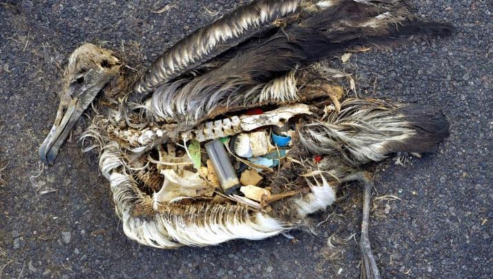 Avfall: Fra søppel til ressurs Miljøkrav i