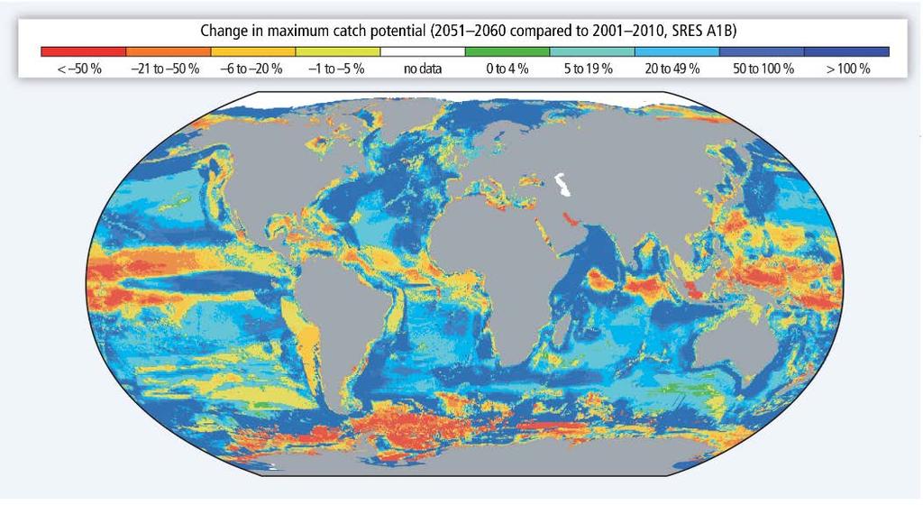 Global oppvarming endrer forutsetningene Klimaendringer og havforsuring endrer økosystemene Uforutsigbare konsekvenser Fiskeressurser vil flytte seg, optimal sone for oppdrett