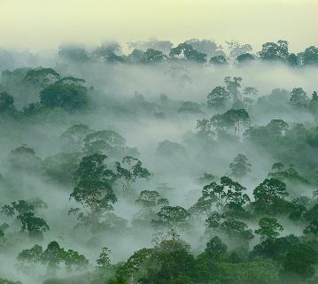 Klimaendringer og lavutslippssamfunn Omstilling til