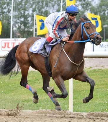 Ble strøket fra generalprøven i Derby Trial på hjemmebane, og det er derfor et spørsmål når det gjelder distansen. Men Silver Falcon er utvilsomt en hest med kapasitet til å kjempe i toppen.