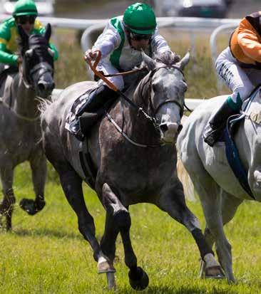 Derbyfeltet 2017 1 KILDARE (IRE) Eier: NP Racing & Meridian Sarl Debuterte så sent som 5. juli. Vant direkte, men det skal sies at selskapet ikke var av det aller skarpeste.