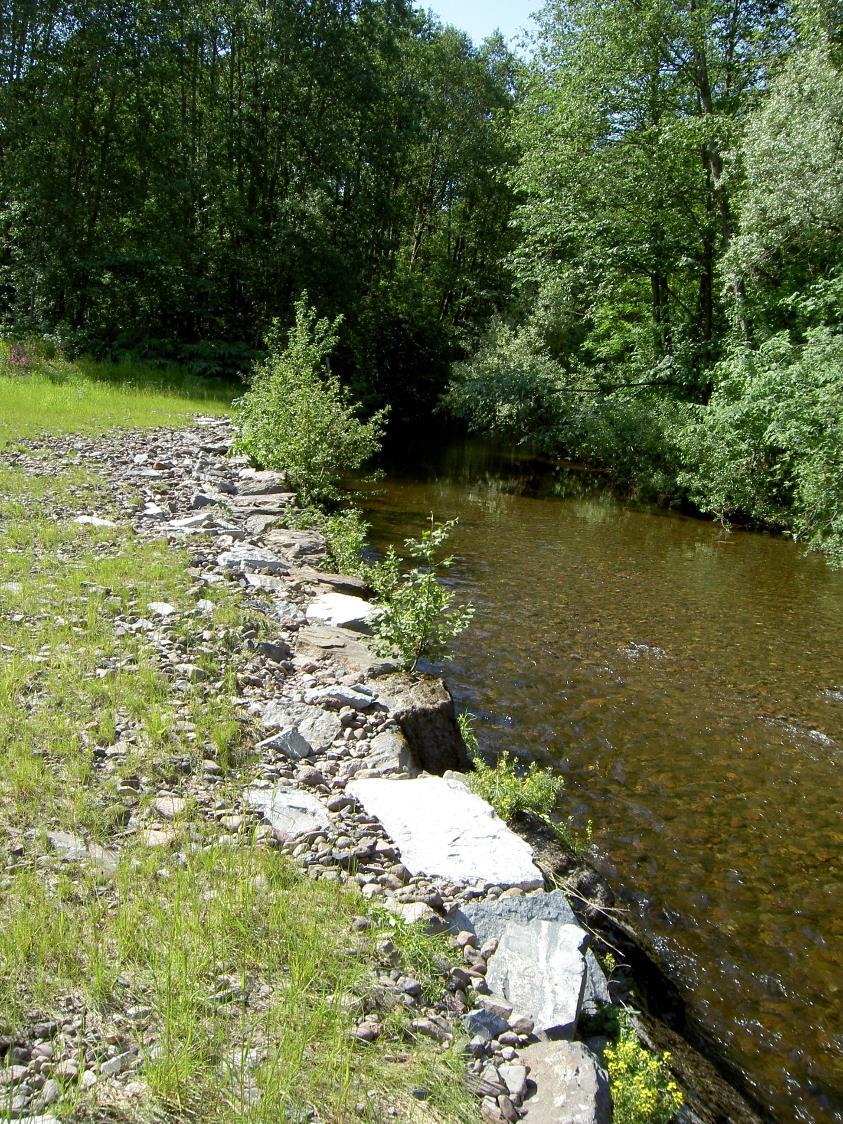 Blågrønne lunger Betydningen av natur i nærområdet: Korte turer, barn og eldre Universell utforming Sykkel,