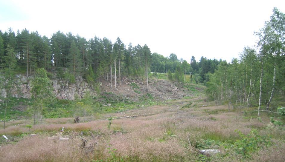 Navnene kan også noen ganger fortelle oss om ulike karakteristiske trekk ved naturen i nærmiljøet som i dag kan være tapt.