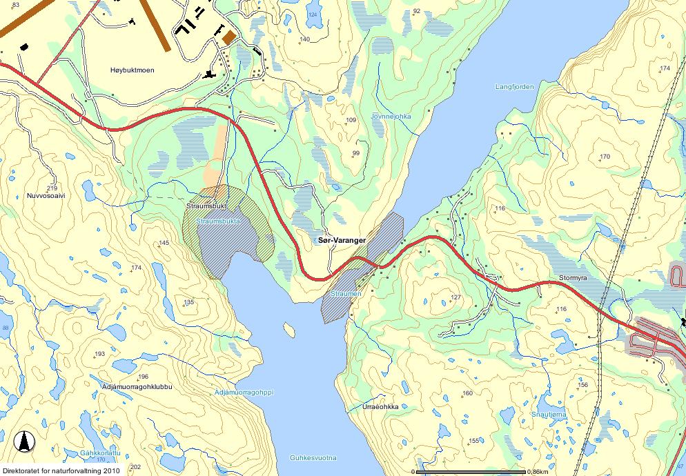 Side: 32 av 40 Figur 2: Markerte områder med artsforekomster av fugl i Straumen og Straumenbukta fra Naturbase. 3.3 Bunnfauna- og flora Bunnforholdene i fjordsystemet har blitt undersøkt flere ganger i forbindelse med gruveaktiviteten i området.