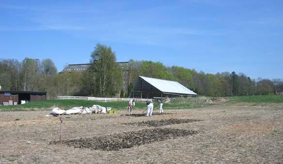 Universitet for miljø- og biovitenskap (UMB), Ås. Begge arealene brukes til kornproduksjon.