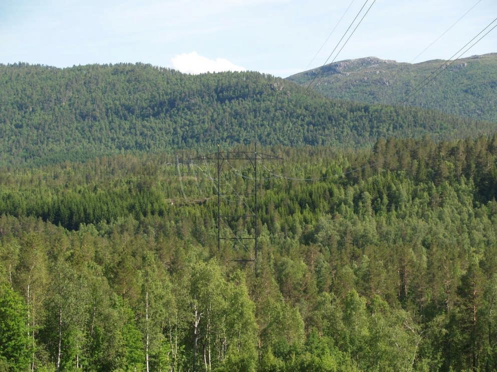 Med omgivelsene menes hvor eksponert en mast eller en strekning er og