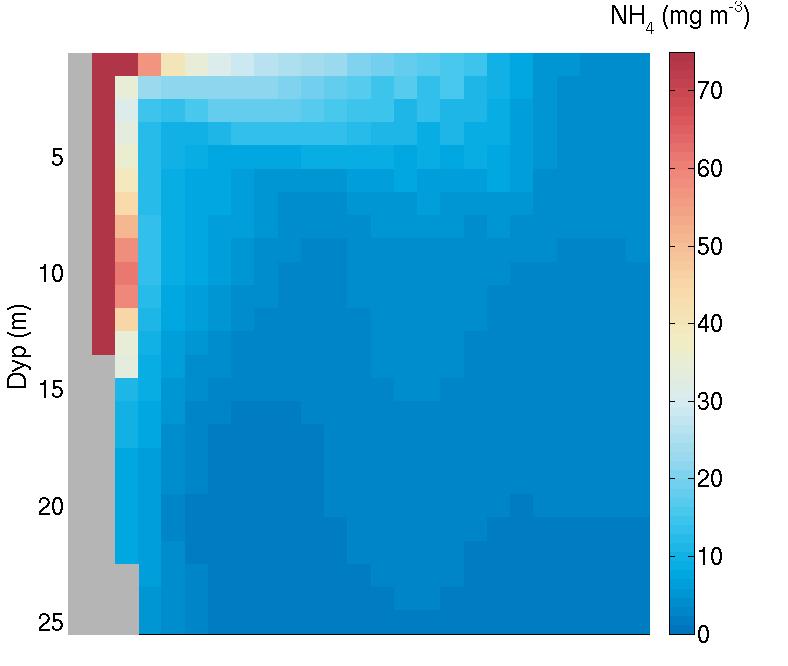 Figur 18. Vertikalprofiler av den simulerte NH 4-N-konsentrasjonen den 23. juli. Snittene er trukket langs de svarte linjene i figur 17.