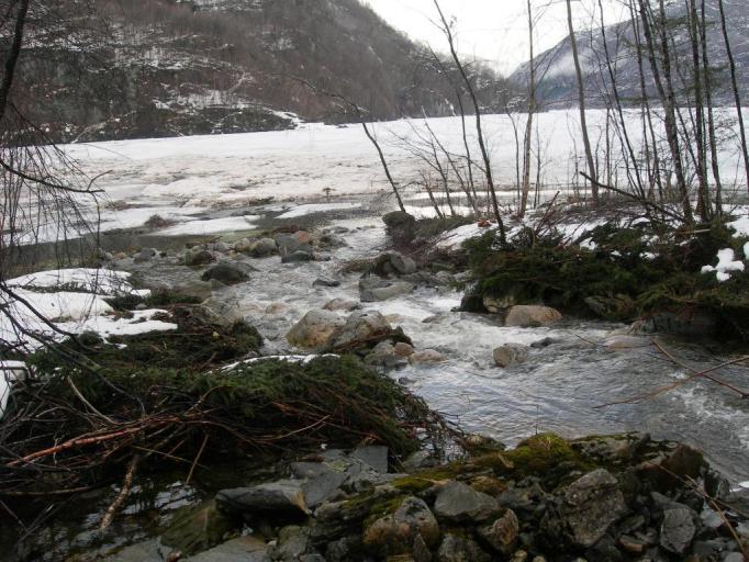 Evangervatnet er en del av den anadrome strekningen i Vossovassdraget som er nasjonalt laksevassdrag, og derfor ble fiskeforvalter Atle Kambestad ved Fylkesmannen i Hordaland kontaktet den 20.