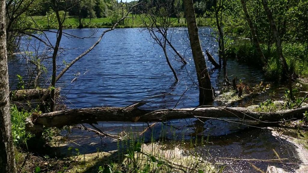 Hengsrudvannet Hengsrudvannet ligger på grensen mellom Re og Horten kommuner, nord for Lillerød og øst for Ødegården.