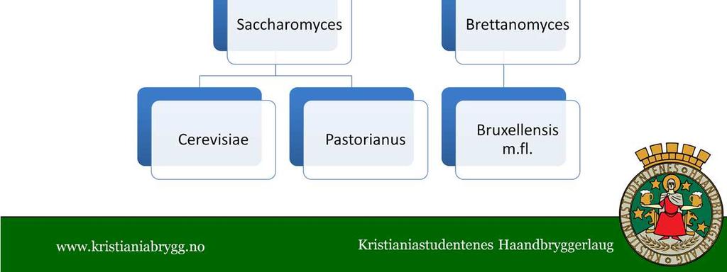 brett» Kan brukes forsiktig til ettergjæringuten å dominere (et trappistbryggeri) Lambicus «High