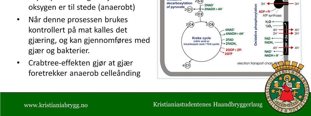 Aerob gjæring C6H12O6 + 6O2 = 6CO2 + 6 H2O Aerob gjæring er svært gunstig, og gir gjærcellen mye energi. Under aerob gjæring har gjærcellen nok energi til å dele seg relativt hyppig.