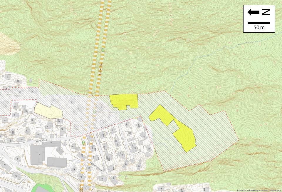 Beskrivelser Under feltbefaringen ble reguleringsområdet og skråningen vist på kartet i figur 5 undersøkt i detalj.