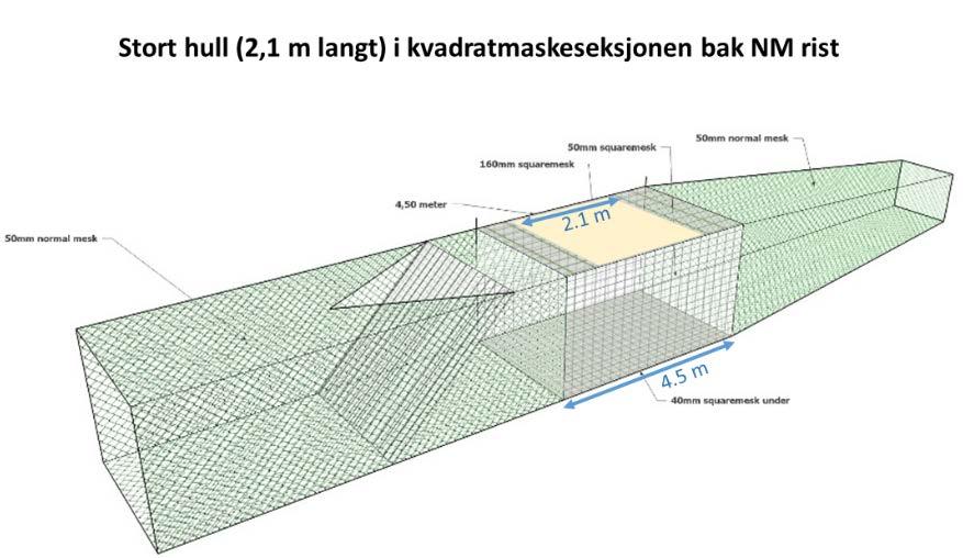 På skissen i figur 10 under er det vist hvor vi fjernet nettet i overpanelet på kvadratmaskeseksjonen. Hullet var 0.75 m vidt og 2.1 m langt.